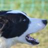 Profilbild von Zorada