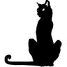 Profilbild von Schrödinger's Cat