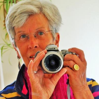 Lally Brown's profile picture