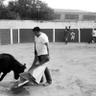 Фото профиля Chuy Garcia