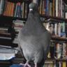 Profilbild von Carolyn Hucker