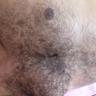 Urso do Pantanal's profile picture