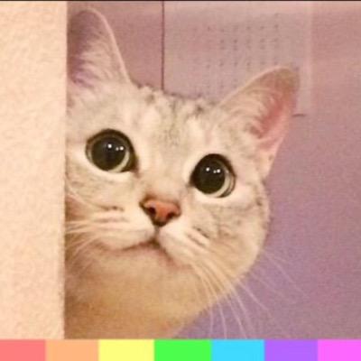 azukki_'s profile picture
