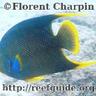 اسماء عمر profil fotoğrafı