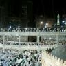 نجد العذية's profile picture