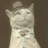 Lev heindallf's profile picture