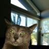 Grog_SD's profile picture
