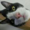 Xungo profil fotoğrafı