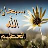 أحمد محمد's profile picture