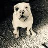 StevenOKC profil fotoğrafı