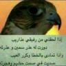 mohmmed Alheby 的头像