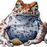 Profilbild von Andy Harris