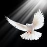 Alberto Estudillo's profile picture