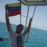 Luis Carvallo's profile picture