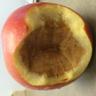 Фото профиля Rotten Apple USMC #turn22to0