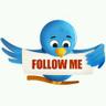 البدر الجميل's profile picture