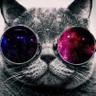 Chopski's profile picture