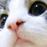 あゆむ's profile picture