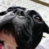 Abd333l#'s profile picture