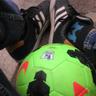 Francesco BeriZ's profile picture