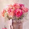 ❤~ســمــآآآرهـ~❤ 的头像