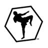 ISRAELI KRAV MAGA's profile picture