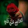 علي شكري 的头像
