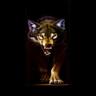 chris nance's profile picture
