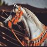 Profilbild von أبو رٍيَمـــــــــاز
