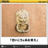 蚤取り屋 profil fotoğrafı