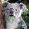 smartless's profile picture