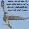 Profilbild von أبو أمجاد