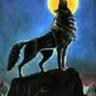 Werwohlf 🇺🇦🇮🇱 profil fotoğrafı