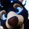 Profilbild von Cascade/Samford