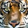 Profilbild von George R