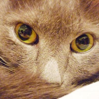 Bylbyleva's profile picture