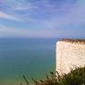 Martin Alma Azul 🇬🇧 🌻 🐑 🚴♂️ 的头像