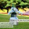 ستشرق الحياة's profile picture
