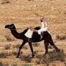 Profilbild von فـهـ ــد
