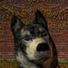 Dungeonmaster Jim's profile picture