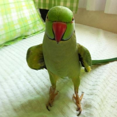lily's profile picture