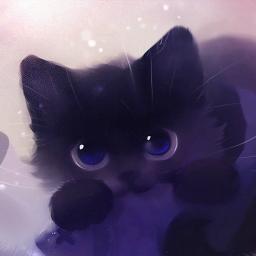 _graycat_'s profile picture