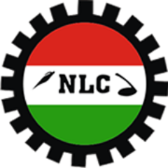 NLCHeadquarters's profile picture