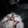 Profilbild von lczzera