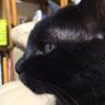 Фото профиля 黒猫