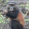 Фото профиля Nature Trails East Africa