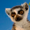 Soletrader4u's profile picture