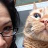 Jill Li's profile picture