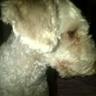 Sol's profile picture