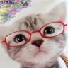 猫まんま 的头像